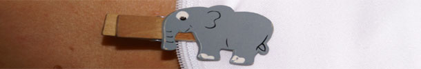 Elefant